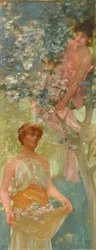 Tra i fiori