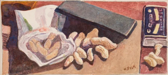 Noci di scimmia