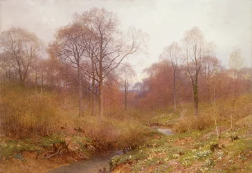Paesaggio fluviale boscoso, autunno