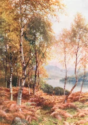 Betulle presso Loch Achray, Perthshire (litografia a colori)
