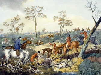 Disegnare una copertura, da 