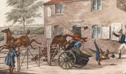 "Mi chiedo se sia un buon saltatore di legname!"