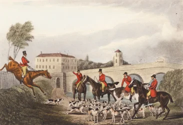 "Ben fatto, Neck-or-Nothing! Non sei male per la riproduzione"