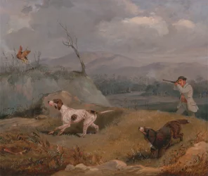Caccia alla pernice