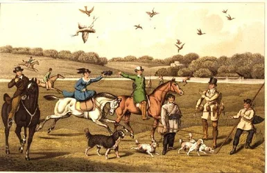 Falconeria, pub. da Thomas McLean
