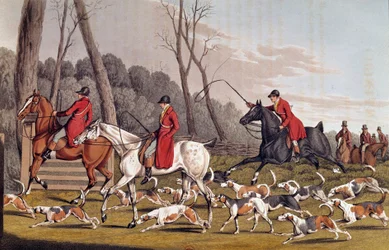 Caccia alla volpe Litografia inglese di Henri Alken (1774-1850) XIX secolo Parigi, B.N.
