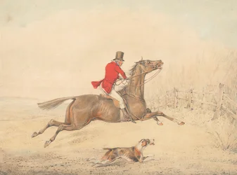 Cavaliere su un cavallo bruno in procinto di saltare una staccionata verso destra
