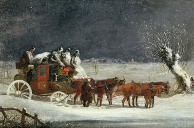 Immagine sconosciuta