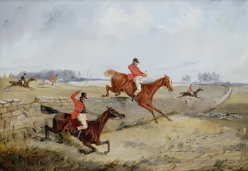 Immagine sconosciuta