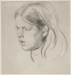 Testa di una ragazza