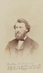 Ritratto di Walter W. Johnson, 1868