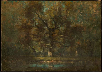 Albero di quercia