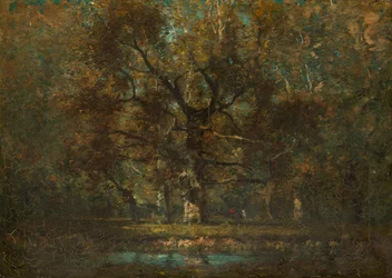 Quercia