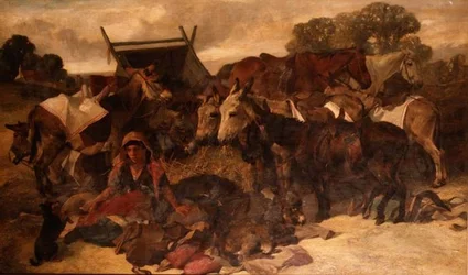 Immagine sconosciuta