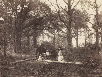 Paesaggio, 1856