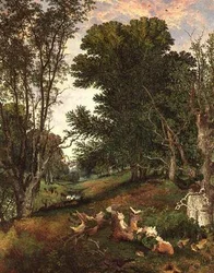 Verso sera nella foresta