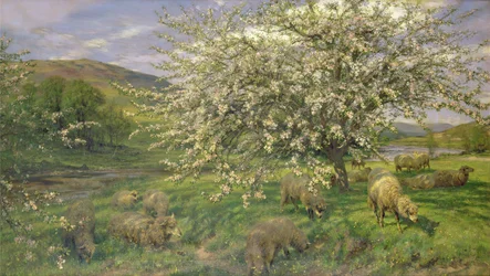 Immagine sconosciuta