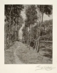 Un percorso verso Longpre (Paesaggio francese)