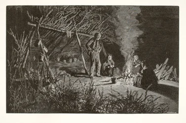 Campo per raccoglitori di bacche
