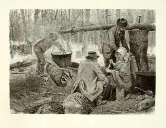 Cucinare una cena da campo