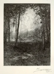 Negli Adirondack