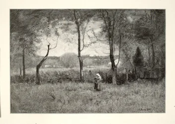 Raccoglitori di legno
