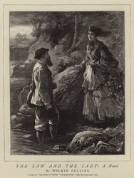 La legge e la signora, un romanzo