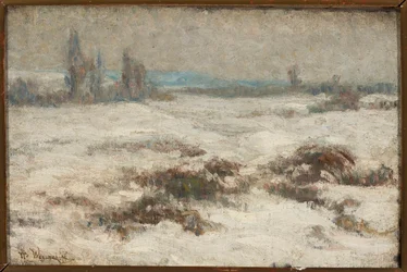 Paesaggio invernale