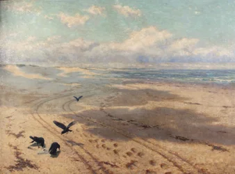 Newton Sands