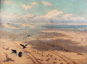 Newton sands, 1889