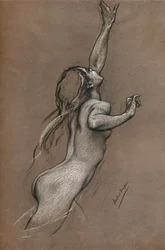 Studio di pesci volanti, ca. 1910