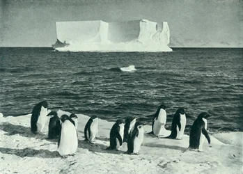 Un iceberg alla deriva nel McMurdo Sound