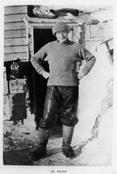 Dottor Wilson