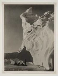 Squadra di cani che riposa vicino a un iceberg