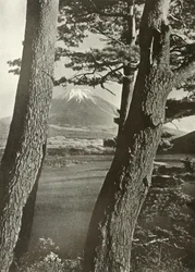 Il Monte Fuji attraverso i pini del Lago Motosu, 1910