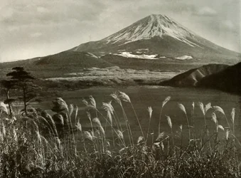 Fuji e l
