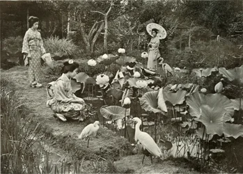 Nella Terra dei Loti, 1910