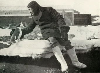 Tenente Rennick e un pinguino amichevole, 1911