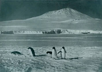 Monte Erebus, c1911, 1913