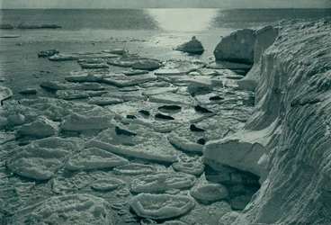 Foche che si crogiolano sul ghiaccio appena formato al largo di Cape Evans, c. 1910-1913, 1913