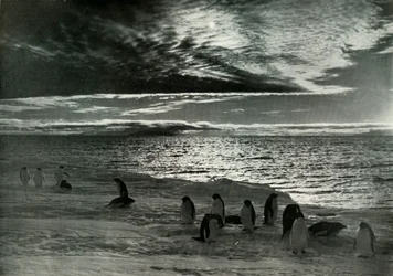 Il Sole di Mezzanotte nel McMurdo Sound, c1910-1913, 1913