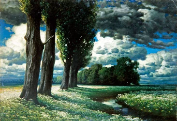 Pioppi vicino a un ruscello