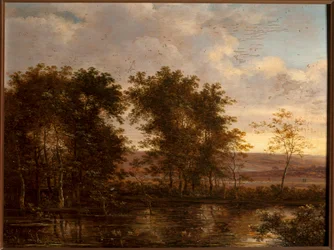 Caccia alle anatre
