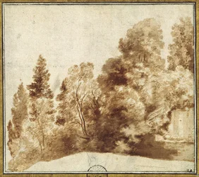 Gruppo di alberi presso un muro