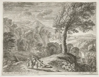 Il grande albero e la cascata