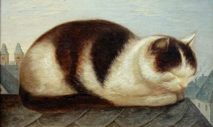 Gatto