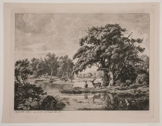 Paesaggio nella foresta di Hellebæk