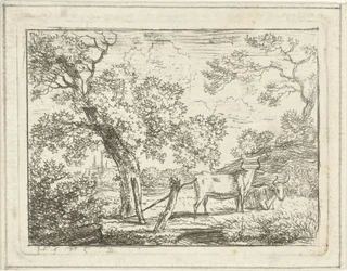 Paesaggio con due mucche