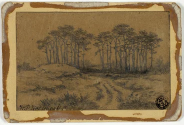 Sentiero tra gli alberi