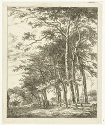 Due figure in piedi vicino ad alberi alti